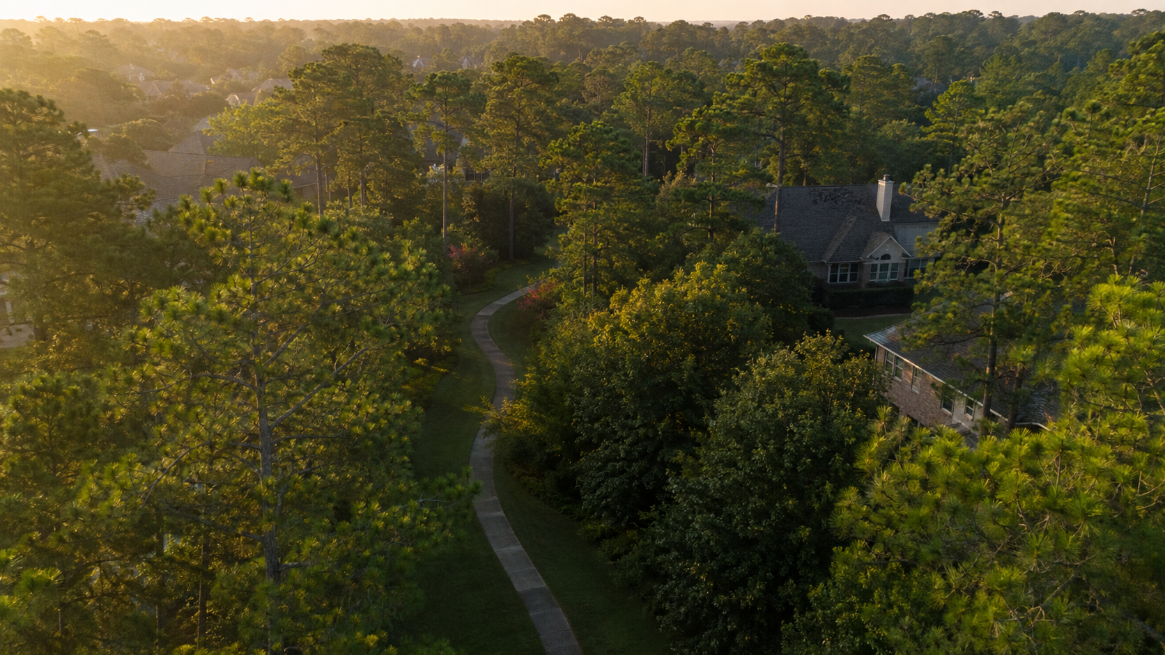 Moving to Kingwood, Texas beneath the Livable Forest tree canopy